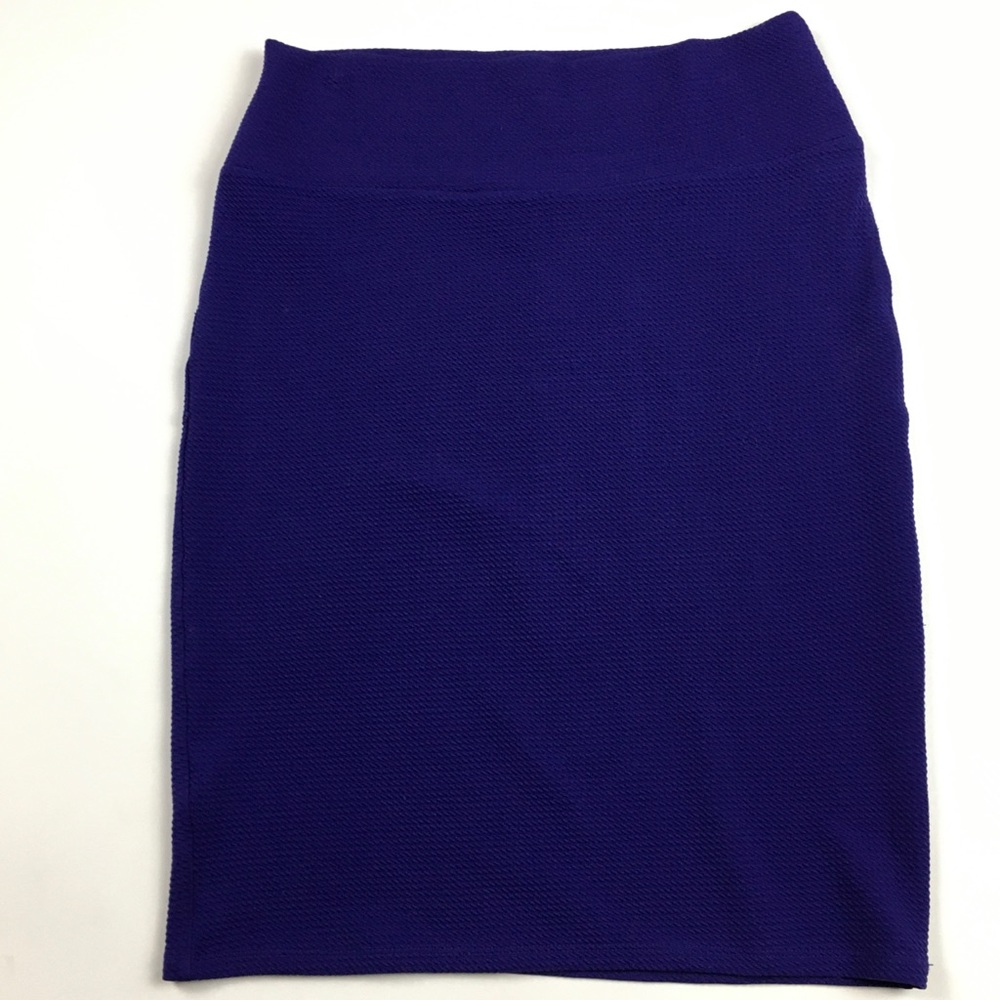 LuLaRoe Cassie Skirt Blue Medium